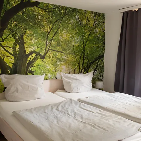 Hof Timmermann - Landhaus, Oben Apartment *